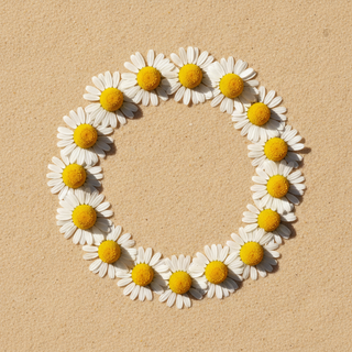 Chamomile