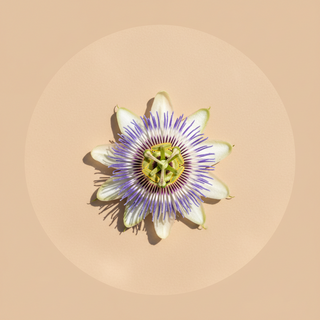 Passion Flower